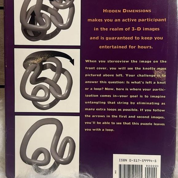 Hidden Dimensions‎ Puzzle Maze and Riddle Book - Picture 2 of 7